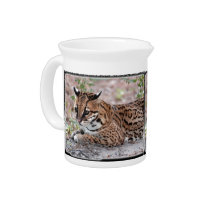Ocelot 01 12x9 pitchers