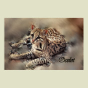 Ocelot art