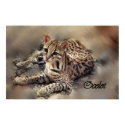 Ocelot art posters