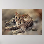 Ocelot art print