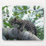 Ocelot-baby climbing tree mousepad