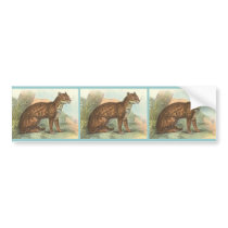 Ocelot bumper stickers by ZephyrusBooks Ocelot bumper stickers