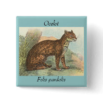 Ocelot buttons