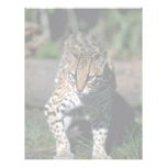 Ocelot Customized Letterhead