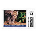 Ocelot, EnvironmentalDefense.org - Customized postage
