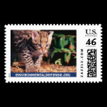 Ocelot, EnvironmentalDefense.org - Customized postage