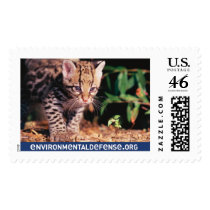 Ocelot, EnvironmentalDefense.org - Customized postage