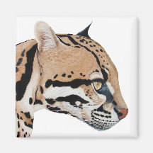 Ocelot Fridge Magnet