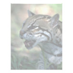 Ocelot head study letterhead design