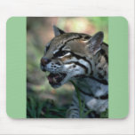 Ocelot head study mousepads