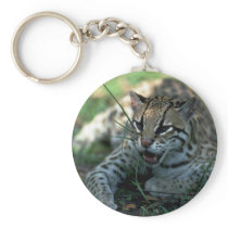 Ocelot lying down keychains