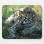 Ocelot lying down mousepad