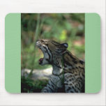 Ocelot lying down mousepads