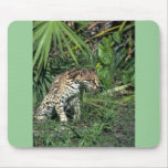 Ocelot Mouse Pads