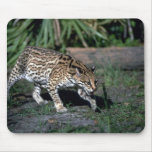 Ocelot Mousepads