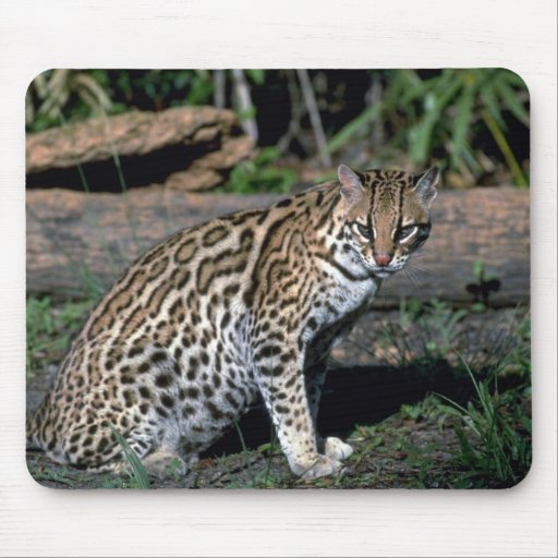 Ocelot Mousepads