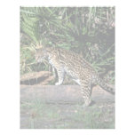 Ocelot Personalized Letterhead