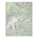 Ocelot Personalized Letterhead
