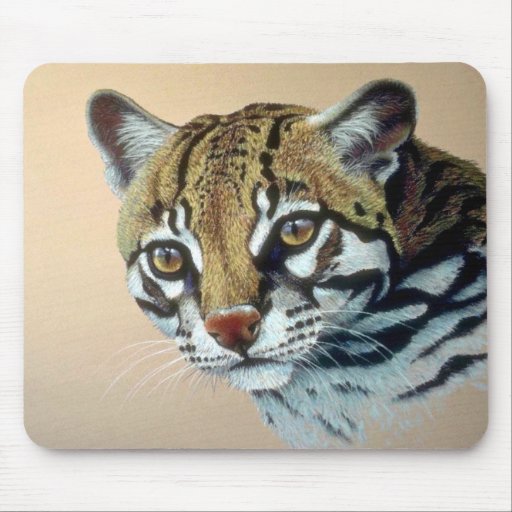 Ocelot study mouse pads