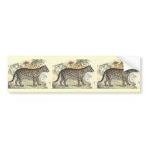 Ocelot (variety) bumper stickers by ZephyrusBooks Ocelot (variety) bumper stickers