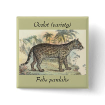 Ocelot (variety) buttons by ZephyrusBooks Ocelot (variety) buttons