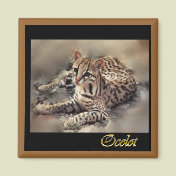ocelot wild cat lovers