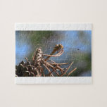 Ochoco Black Canyon Insects / Arachnids Bugs Fauna Jigsaw Puzzles