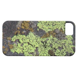 Ochoco Black Canyon Mushroom Fungi Lichen Mosses iPhone 5 Cases