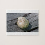 Ochoco Black Canyon Mushroom Fungi Lichen Mosses Jigsaw Puzzle