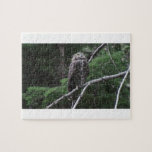 Ochoco Black Canyon Oregon Animal Bird Aves Fauna Puzzles