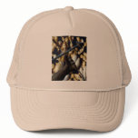 OCHOSI HAT