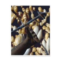 OCHOSI postcards by AFROFUSION OCHOSI postcards