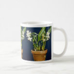 Ochracea (Coelogyne) flowers Coffee Mugs