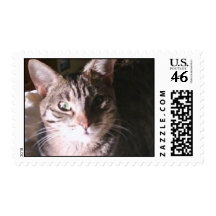 Ocicat portrait postage stamp