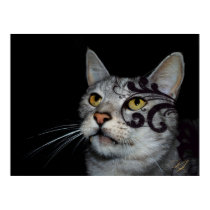 Ocicat Poster posters