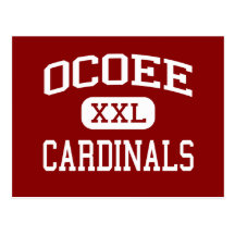Ocoee - Cardinals - Middle School - Ocoee Florida Post Cards
