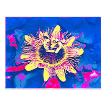 Ocoee flower Passiflora caerulea passion pop art Postcards