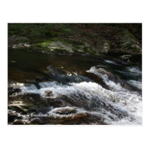 Ocoee River, Tennessee Post Card