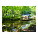 oconto river beauty posters