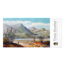 Ocotilla Shrub Customized Photo Card