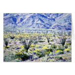 Ocotillo And Desert Flowers In Bloom Cards