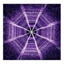 Octagon posters