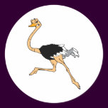 Octavio Ostrich