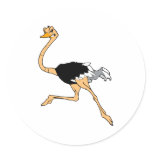 Octavio Ostrich