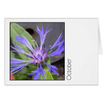 October cards by ickledink October cards