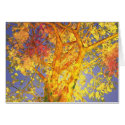 October cards by Astra October cards