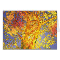 October cards by Astra October cards