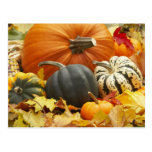 October Decoration Postcard