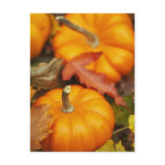 October Design Postcard