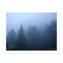 October Forest posters by sroughto October Forest posters